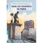 Dans les cheminées de Paris 